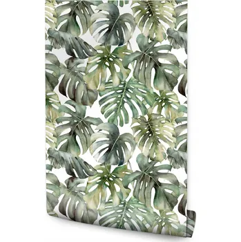 Fototapeta Tapeta v roli AKVARELOVÉ Listy Monstery Abstrakce Rostliny