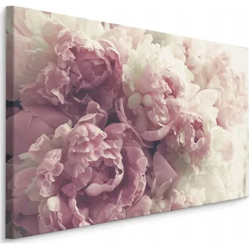 Obraz Obraz Na Plátně Pivoňky KVĚTINY Příroda 3D 40x30