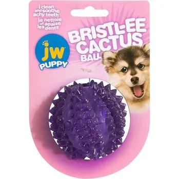Hračka pro psa JW Bristl-ee Cactus Ball