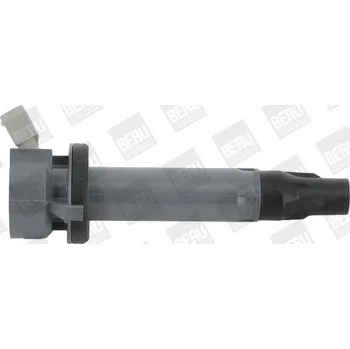 Zapalovací cívka Zapalovací cívka BorgWarner (BERU) ZSE194