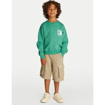 Pánská mikina Calvin Klein Jeans Mikina Summer IB0IB02462 Zelená Regular Fit 16Y