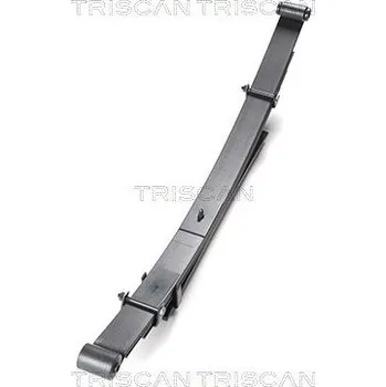 Paket pružin TRISCAN 8765 42009