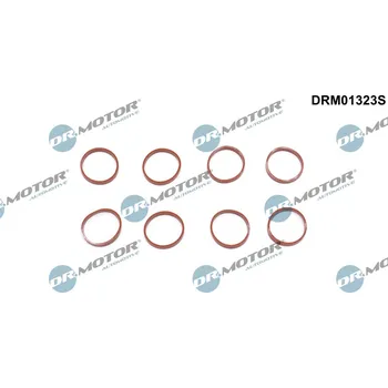 Automobilové těsnění Sada těsnění, koleno sacího potrubí Dr.Motor Automotive DRM01323S