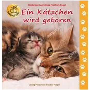Příroda Ein Kätzchen wird geboren - Fischer-Nagel, Heiderose