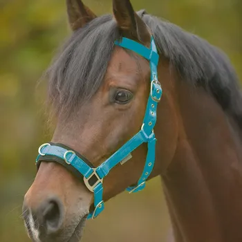 Ekonomický podnik Bič Waldhausen
