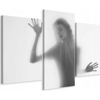 Obraz Obraz Triptych Silueta ŽENY 3D Efekt 90x60