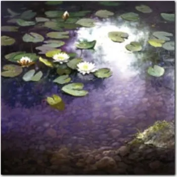 Obraz Lekníny 1 plakát obraz 30x30 cm