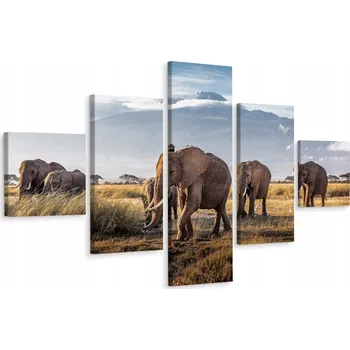 Obraz Vícedílný obraz Sloni ZVÍŘATA Krajina 3D 250x150