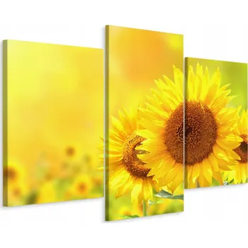 Obraz Obraz Tryptych Pole SLUNEČNIC Příroda 3D 60x40