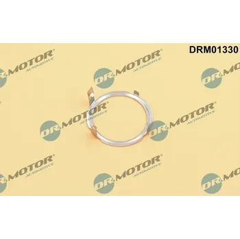 Auto-moto Těsnění, AGR ventil DR.MOTOR DRM01330