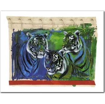 Obraz Tři Tygři plakát obraz 30x24cm