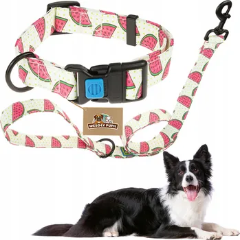 Obojek pro psa SADA OBOJEK + VODÍTKO pro psa POHODLNÁ NASTAVITELNÁ barevná bezpečná spona M