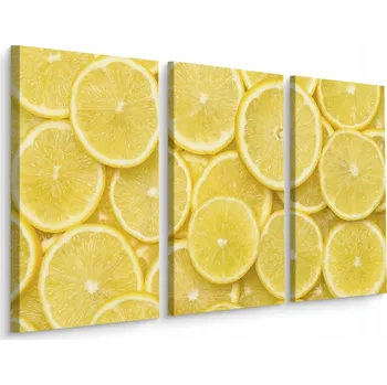 Obraz Třídílný obraz Plátky CITRONU Ovoce 60x40