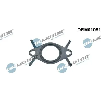 Těsnění, vedení AGR ventilu Dr.Motor Automotive DRM01081