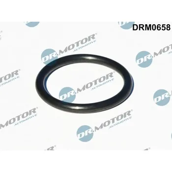 Auto-moto Těsnění, přívod turbíny DR.MOTOR DRM0658