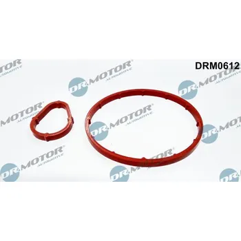 Nářadí pro automobil Sada těsnění, podtlaková pumpa DR.MOTOR DRM0612