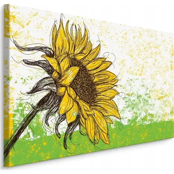 Obraz Ručně kreslený obraz Slunečnice Příroda Retro styl 30x20