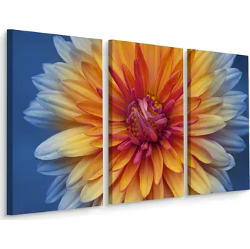 Obraz Obraz Tryptych KVĚT Chryzantémy Příroda 3D 60x40