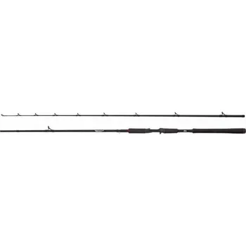 Rybářský prut Prut Abu Garcia Beast Pike 254cm 40-140g
