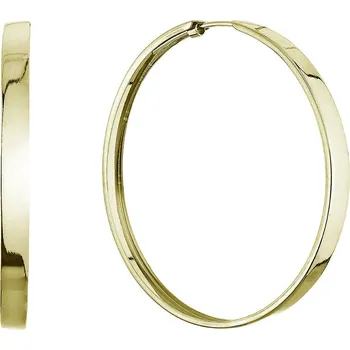 Náušnice EVOLUTION GROUP CZ Stříbrné pozlacené náušnice kruhy 43mm - 61068