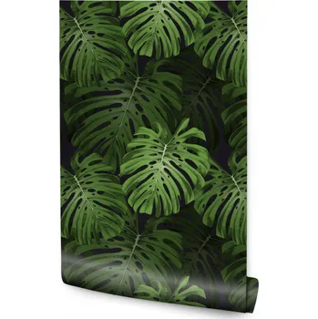 Fototapeta Tapeta v roli Velké LISTY Tropická Monstera Abstrakce Rostliny