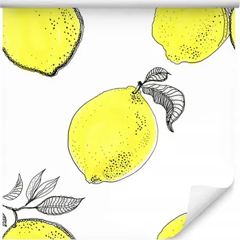 Fototapeta Tapeta na zeď do kuchyně Ovoce CITRONY Citrusy Abstrakce