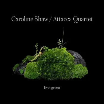 Zahraniční hudba Evergreen Caroline & Attacca Quartet Shaw CD