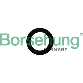 Autodíl Těsnicí kroužek hřídele, klikový hřídel BORSEHUNG B12179
