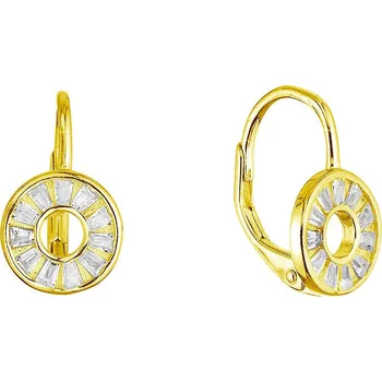 Šperk EVOLUTION GROUP CZ Pozlacené stříbrné náušnice kroužek ananas - 11719.1