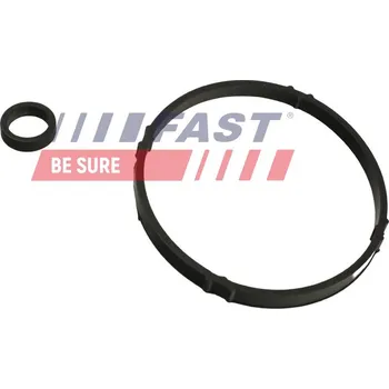 Chladič motoru Těsnicí kroužek, chladič oleje (mazání) FAST FT48952