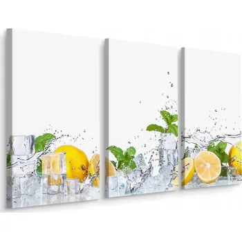 Obraz Obraz TRYPTYK Kostky Ledu Máta CITRONY 3D 60x40