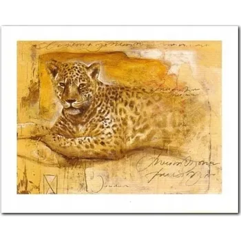 Obraz Divoký život II plakát obraz 50x40 cm