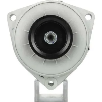 Alternátor Alternátor BV PSH 556.025.100.010