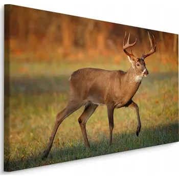 Obraz Obraz do obýváku JELEN Lesní zvíře Příroda 30x20