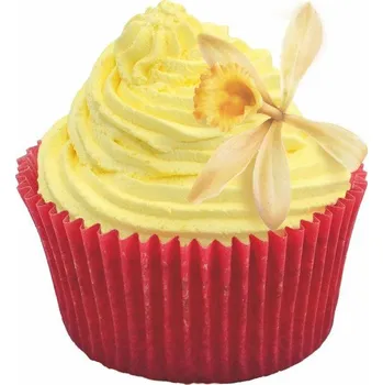 LIANA, SLOVENSKO Ztužovač šlehačky, příchuť: VANILKA 100g