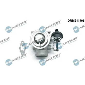 Palivový systém AGR-Ventil Dr.Motor Automotive DRM211105
