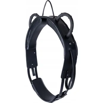 Lonžovací popruh Waldhausen Lonžovací skokový popruh kožený