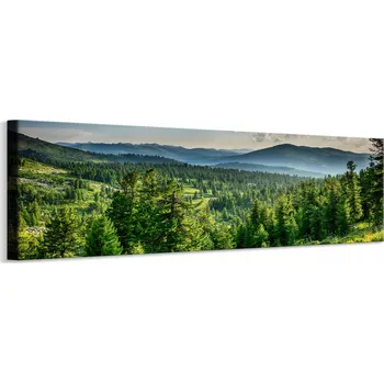 Obraz Panoramatický obraz do obýváku LES Hory Krajina 3D efekt Příroda 145x45