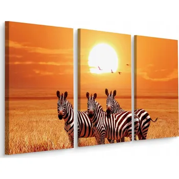 Obraz Obraz Triptych ZEBRY Západ Slunce 3D Efekt 120x80