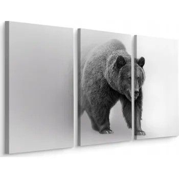 Obraz Obraz Tryptych medvěd v mlze Příroda 3D 60x40