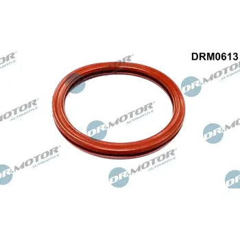 Palivový systém Těsnění, hrdlo škrtící klapky Dr.Motor Automotive DRM0613