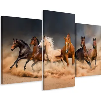 Obraz Obraz Triptych Cválající KONĚ Poušť 3D 60x40