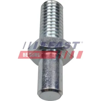 Dveře karosérie Dveřní závěs FAST FT95211