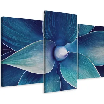 Obraz Obraz Tryptych ROSTLINA Zblízka Příroda 3D 90x60