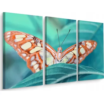 Obraz Obraz Triptych MOTÝL List v Makro Měřítku 3D 60x40