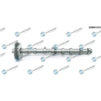 Motor automobilu Vačkový hřídel DR.MOTOR DRM01279