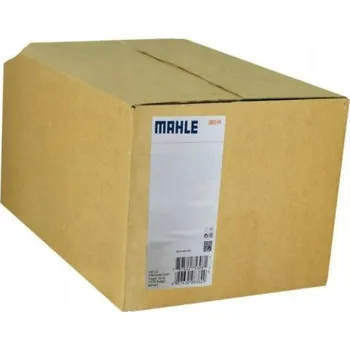 Klimatizace automobilu Mahle TSW 20D Termospínač, ventilátor chladiče