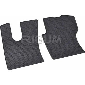 Autokoberce Rigum gumové přesné - SCANIA R 2016-