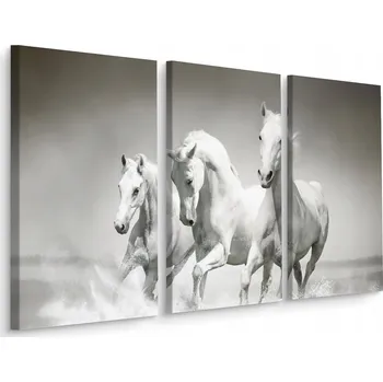 Obraz Obraz Triptych Bílý cválající koně Příroda 60x40