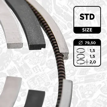 Píst motoru Sada pístních kroužků ET ENGINETEAM R1012300